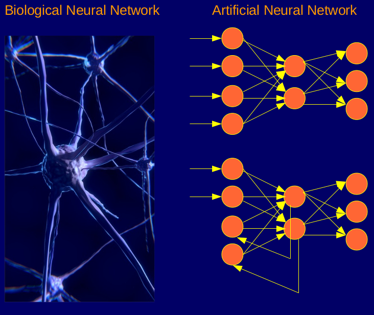 BrainPuzzle.jpg width=